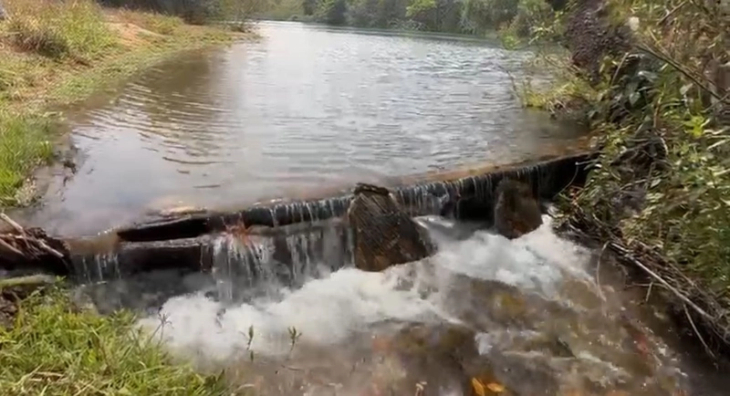 Fazenda para SOJA - LARANJA - CAFÉ em Ipameri-GO/Cristalina - GO: 6ª foto da galeria de imagens do imóvel