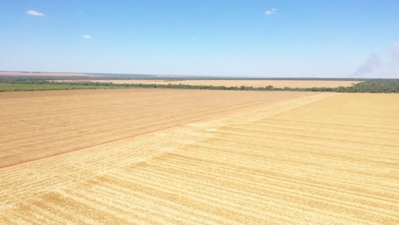 Fazenda Premium Querência-MT - 7.200 hectares - SOJA-MIILHO-ALGODÃO: 2ª foto da galeria de imagens do imóvel