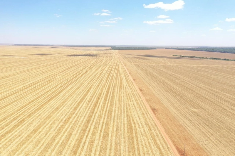 Fazenda Premium Querência-MT - 7.200 hectares - SOJA-MIILHO-ALGODÃO: 11ª foto da galeria de imagens do imóvel