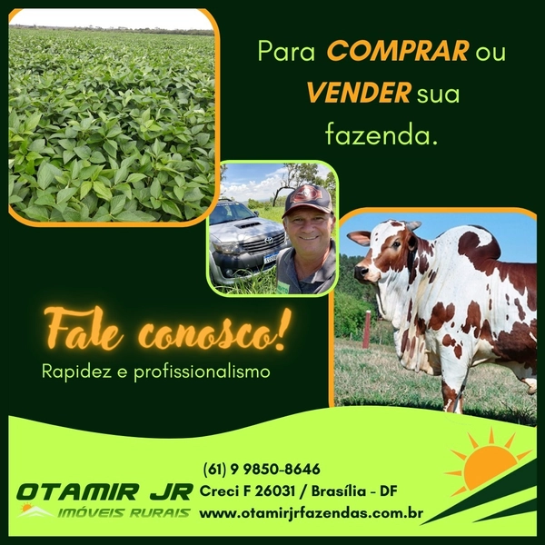 Fazenda Premium Querência-MT - 7.200 hectares - SOJA-MIILHO-ALGODÃO: 18ª foto da galeria de imagens do imóvel