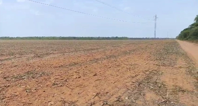 Fazenda Premium Querência-MT - 7.200 hectares - SOJA-MIILHO-ALGODÃO: 7ª foto da galeria de imagens do imóvel