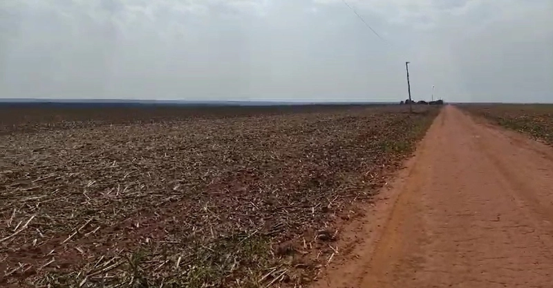Fazenda Premium Querência-MT - 7.200 hectares - SOJA-MIILHO-ALGODÃO: 4ª foto da galeria de imagens do imóvel