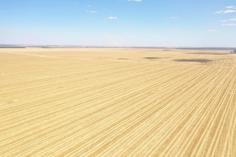 Fazenda Premium Querência-MT - 7.200 hectares - SOJA-MIILHO-ALGODÃO: 10ª foto da galeria de imagens do imóvel