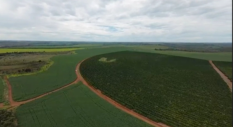 Fazenda Premium em CRISTALINA-GO | SOJA-MILHO-CAFÉ-LARANJA: 3ª foto da galeria de imagens do imóvel