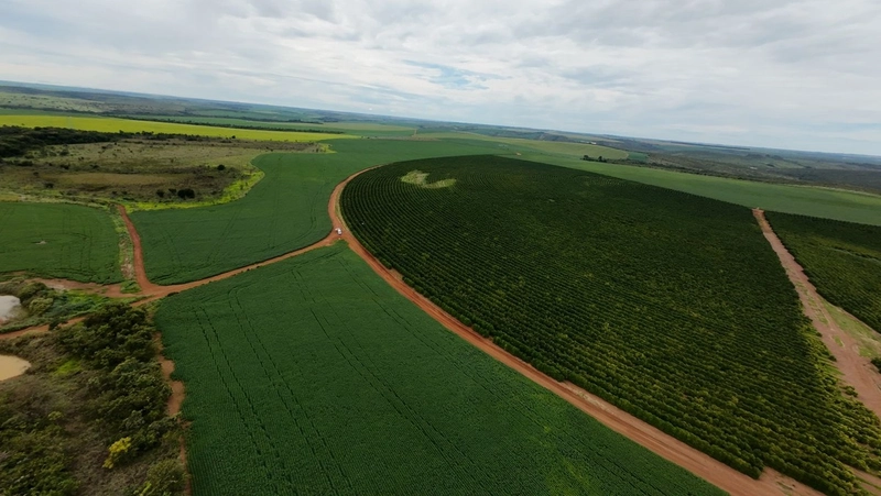 Fazenda Premium em CRISTALINA-GO | SOJA-MILHO-CAFÉ-LARANJA: 4ª foto da galeria de imagens do imóvel