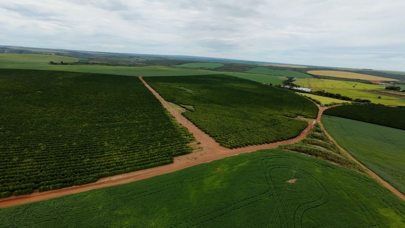 Fazenda Premium em CRISTALINA-GO | SOJA-MILHO-CAFÉ-LARANJA: 6ª foto da galeria de imagens do imóvel