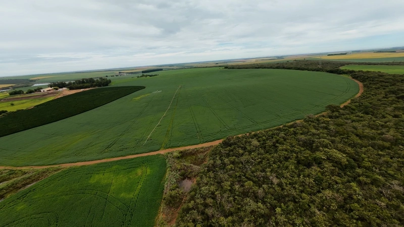 Fazenda Premium em CRISTALINA-GO | SOJA-MILHO-CAFÉ-LARANJA: 5ª foto da galeria de imagens do imóvel