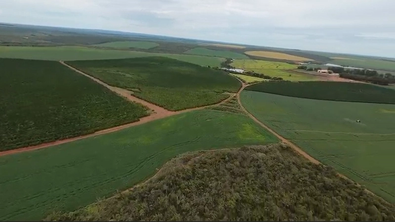 Fazenda Premium em CRISTALINA-GO | SOJA-MILHO-CAFÉ-LARANJA: 2ª foto da galeria de imagens do imóvel
