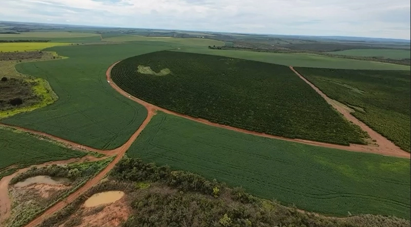 Fazenda Premium em CRISTALINA-GO | SOJA-MILHO-CAFÉ-LARANJA