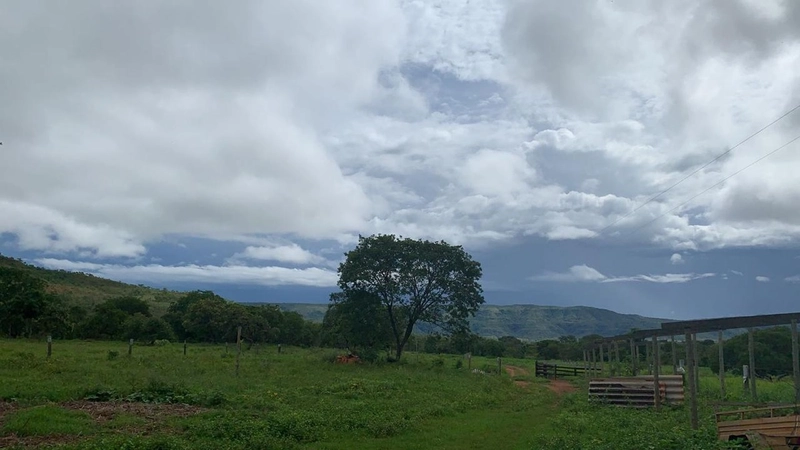 Fazendinha BOA DE PREÇO em MG - Buritis-MG: 3ª foto da galeria de imagens do imóvel