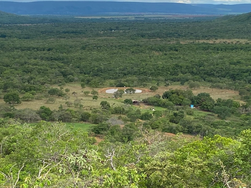 Fazendinha BOA DE PREÇO em MG - Buritis-MG: 9ª foto da galeria de imagens do imóvel