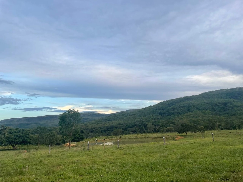 Fazendinha BOA DE PREÇO em MG - Buritis-MG: 14ª foto da galeria de imagens do imóvel