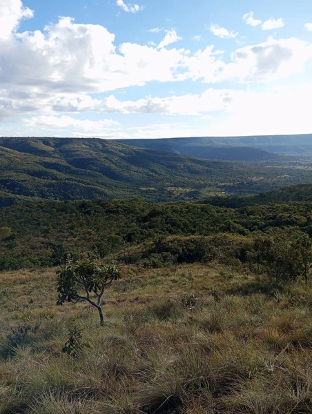 Fazendinha BOA DE PREÇO em MG - Buritis-MG: 15ª foto da galeria de imagens do imóvel