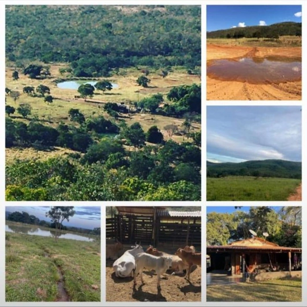 Fazendinha BOA DE PREÇO em MG - Buritis-MG