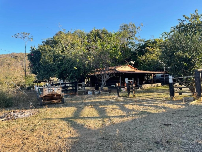 Fazendinha BOA DE PREÇO em MG - Buritis-MG: 8ª foto da galeria de imagens do imóvel