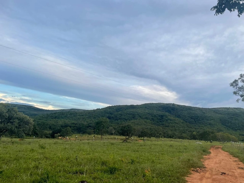 Fazendinha BOA DE PREÇO em MG - Buritis-MG: 19ª foto da galeria de imagens do imóvel