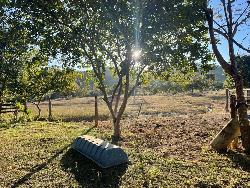 Fazendinha BOA DE PREÇO em MG - Buritis-MG: 7ª foto da galeria de imagens do imóvel