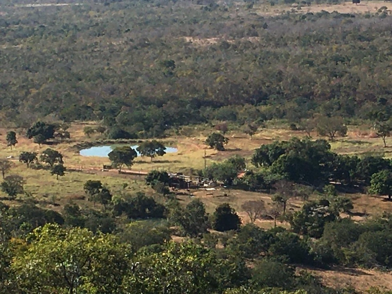Fazendinha BOA DE PREÇO em MG - Buritis-MG: 10ª foto da galeria de imagens do imóvel