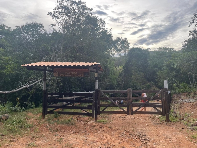 Fazendinha BOA DE PREÇO em MG - Buritis-MG: 6ª foto da galeria de imagens do imóvel