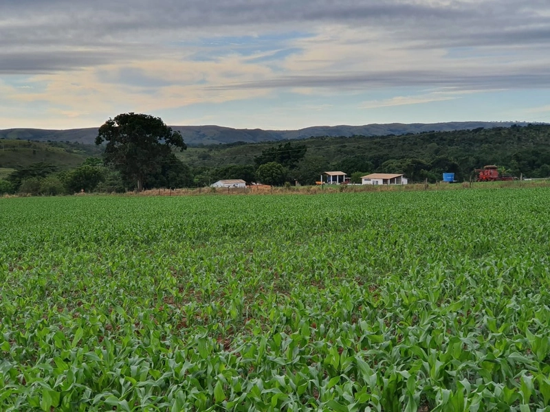 Fazenda com PIVÔS - Para SOJA-CAFÉ-LARANJA-GADO: 13ª foto da galeria de imagens do imóvel