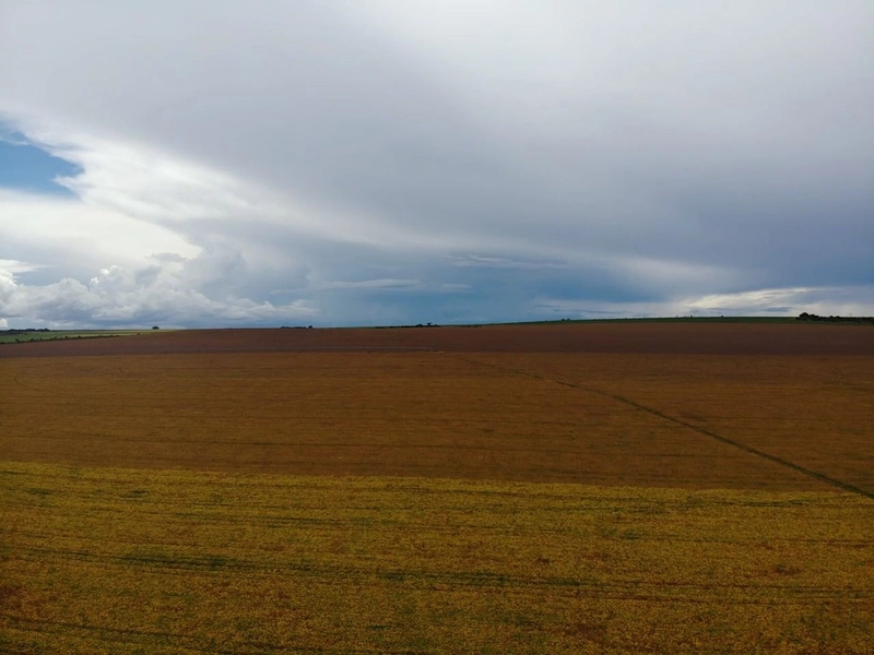 Fazenda com PIVÔS - Para SOJA-CAFÉ-LARANJA-GADO: 4ª foto da galeria de imagens do imóvel