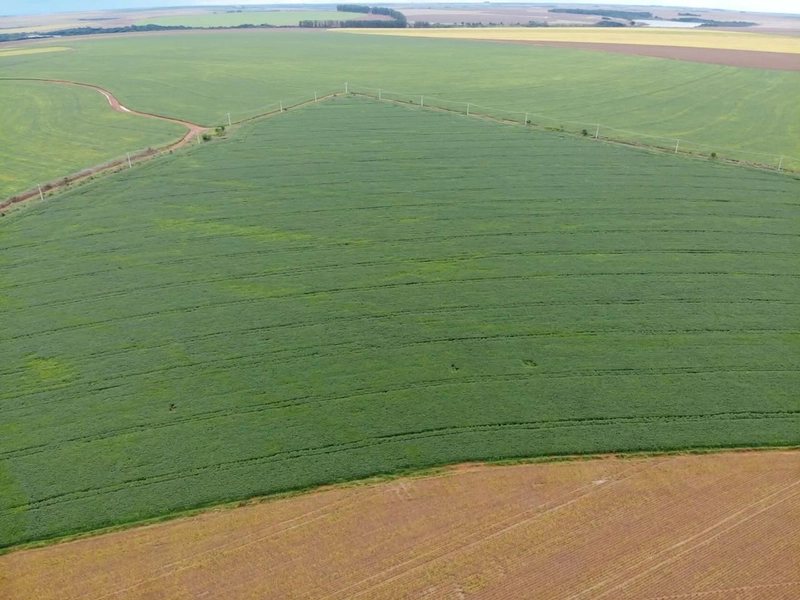 Fazenda com PIVÔS - Para SOJA-CAFÉ-LARANJA-GADO: 6ª foto da galeria de imagens do imóvel