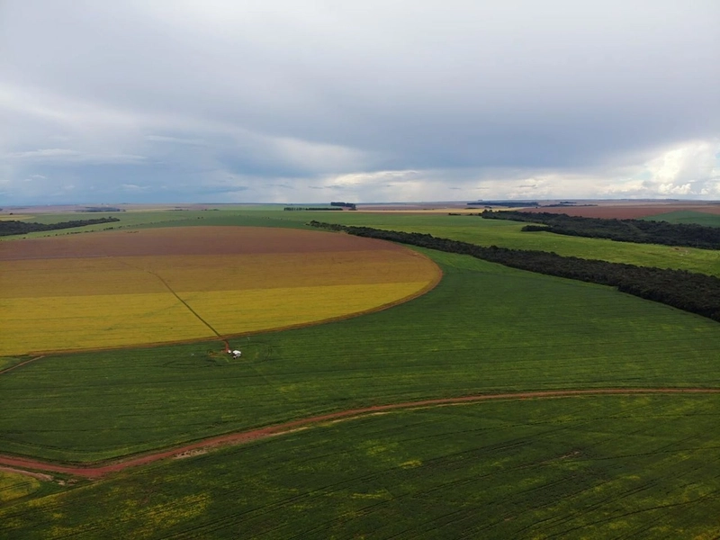 Fazenda com PIVÔS - Para SOJA-CAFÉ-LARANJA-GADO: 2ª foto da galeria de imagens do imóvel