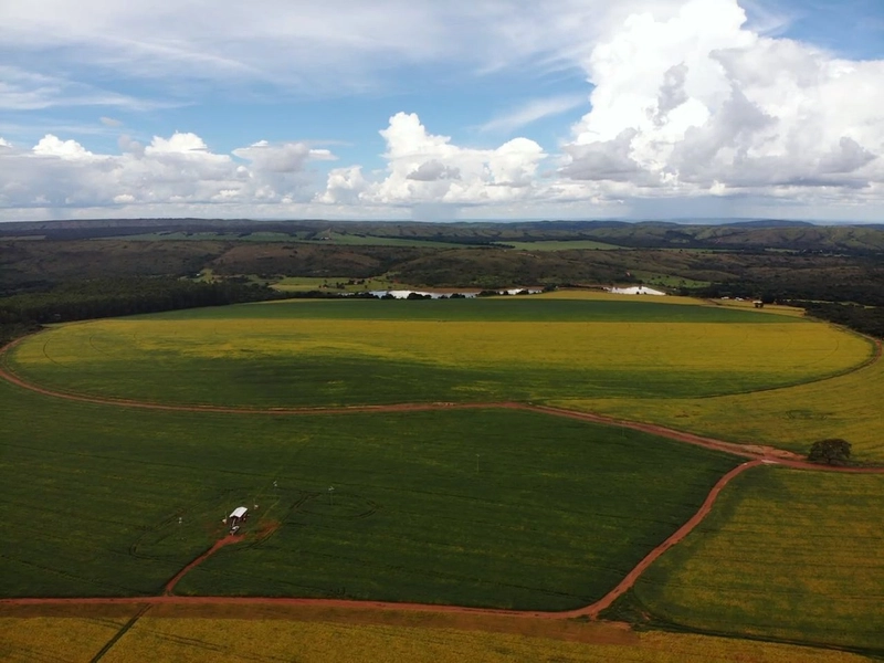 Fazenda com PIVÔS - Para SOJA-CAFÉ-LARANJA-GADO: 3ª foto da galeria de imagens do imóvel