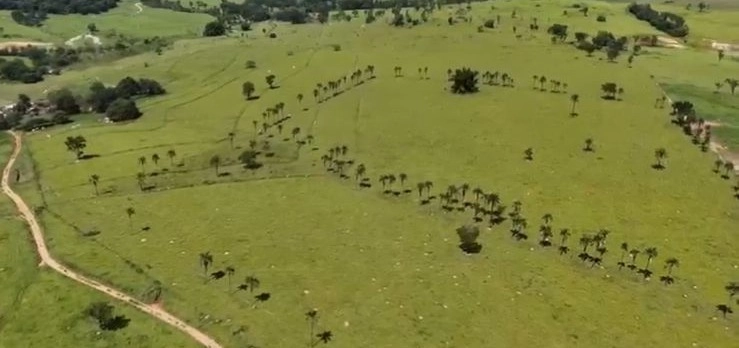 Fazenda para GADO em Araguari-MG: 14ª foto da galeria de imagens do imóvel