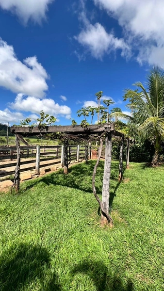 Fazenda para GADO em Araguari-MG: 10ª foto da galeria de imagens do imóvel