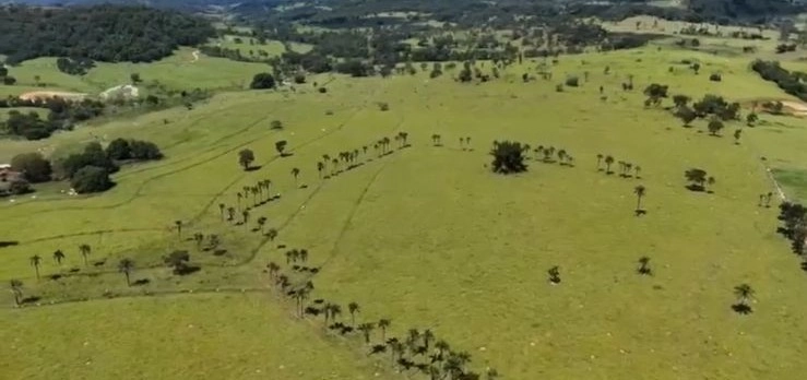 Fazenda para GADO em Araguari-MG: 15ª foto da galeria de imagens do imóvel
