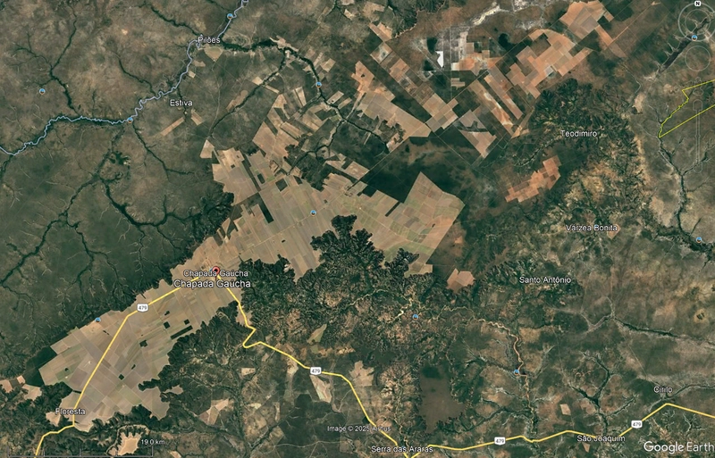 ARRENDAMENTO PARA LAVOURA - CHAPADA GAÚCHA - MG: 13ª foto da galeria de imagens do imóvel