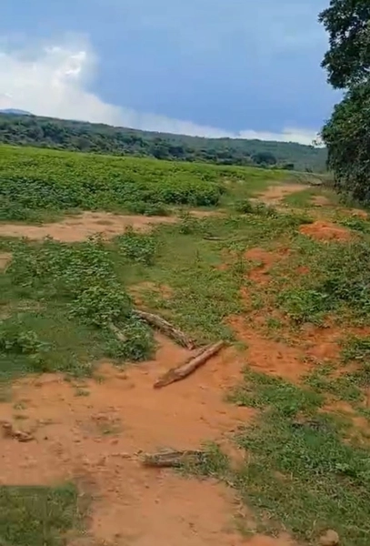 ARRENDAMENTO PARA LAVOURA | ALTO HORIZONTE-GO: 10ª foto da galeria de imagens do imóvel