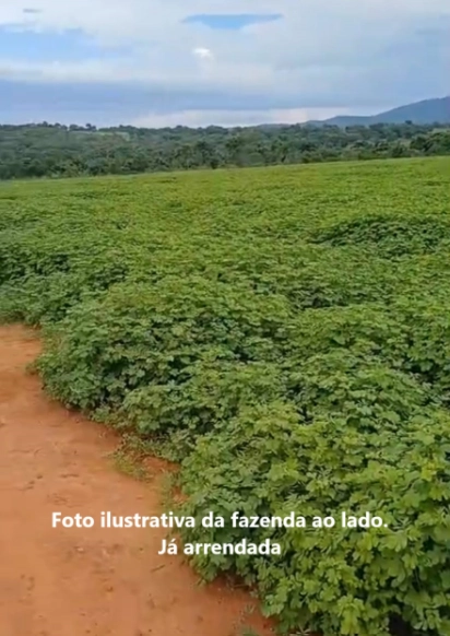 ARRENDAMENTO PARA LAVOURA | ALTO HORIZONTE-GO: 1ª foto da galeria de imagens do imóvel