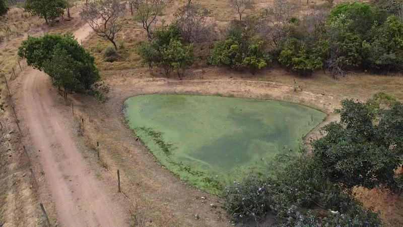 Fazendinha dupla aptidão em Unaí - MG  | 44,4 hectares: 16ª foto da galeria de imagens do imóvel