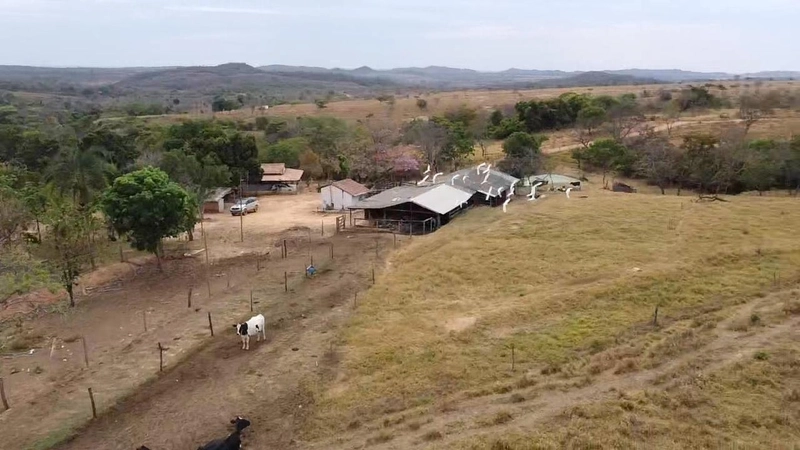 Fazendinha dupla aptidão em Unaí - MG  | 44,4 hectares: 1ª foto da galeria de imagens do imóvel