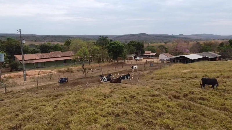 Fazendinha dupla aptidão em Unaí - MG  | 44,4 hectares: 24ª foto da galeria de imagens do imóvel