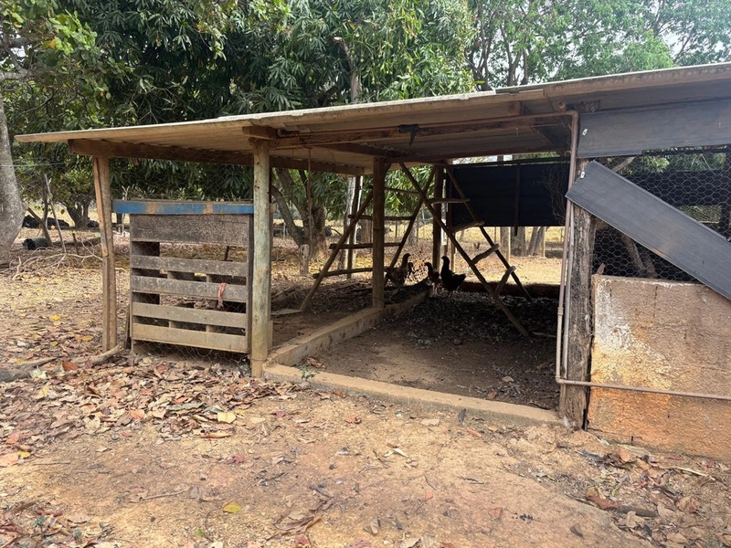 Fazendinha dupla aptidão em Unaí - MG  | 44,4 hectares: 7ª foto da galeria de imagens do imóvel