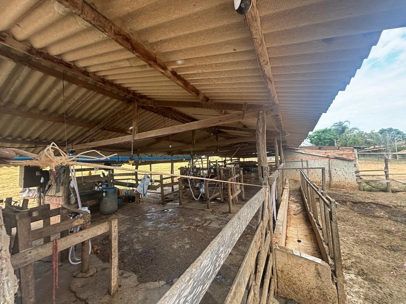 Fazendinha dupla aptidão em Unaí - MG  | 44,4 hectares: 9ª foto da galeria de imagens do imóvel