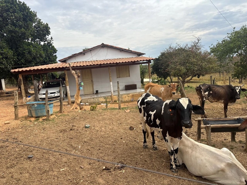 Fazendinha dupla aptidão em Unaí - MG  | 44,4 hectares: 10ª foto da galeria de imagens do imóvel
