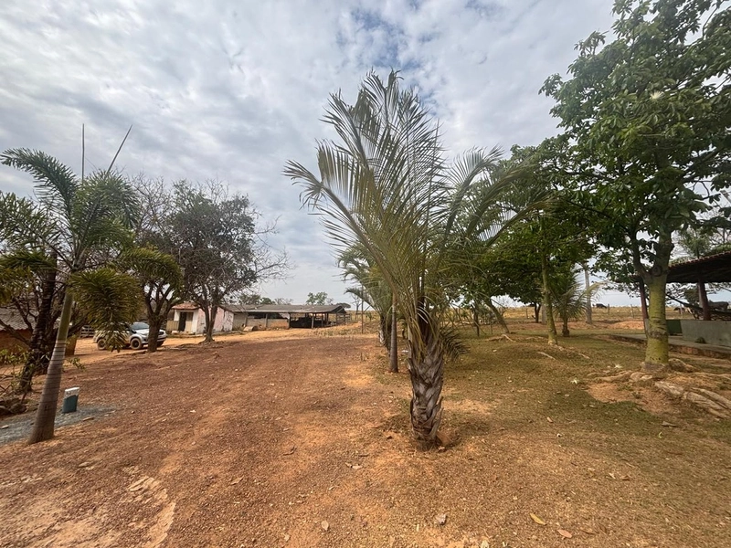 Fazendinha dupla aptidão em Unaí - MG  | 44,4 hectares: 3ª foto da galeria de imagens do imóvel