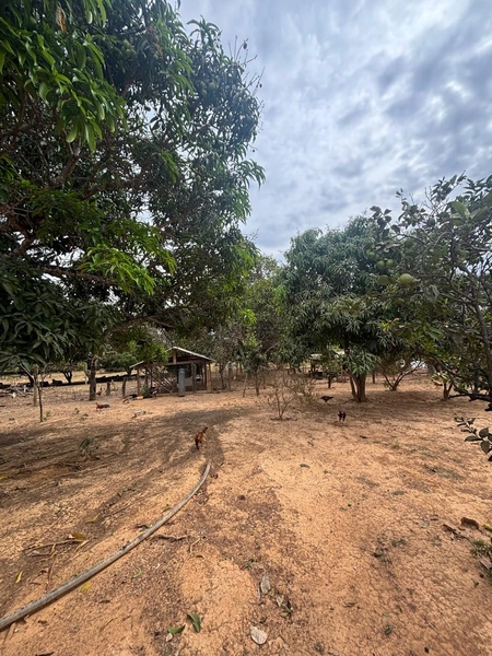 Fazendinha dupla aptidão em Unaí - MG  | 44,4 hectares: 4ª foto da galeria de imagens do imóvel