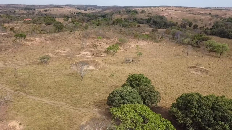 Fazendinha dupla aptidão em Unaí - MG  | 44,4 hectares: 12ª foto da galeria de imagens do imóvel