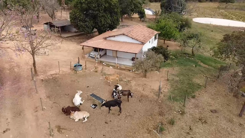 Fazendinha dupla aptidão em Unaí - MG  | 44,4 hectares: 15ª foto da galeria de imagens do imóvel