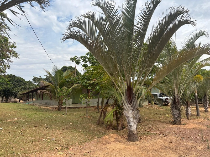 Fazendinha dupla aptidão em Unaí - MG  | 44,4 hectares: 6ª foto da galeria de imagens do imóvel