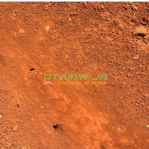 Fazenda para SOJA-MILHO | PADF-Brasília | 194,35 hectares: 2ª foto da galeria de imagens do imóvel