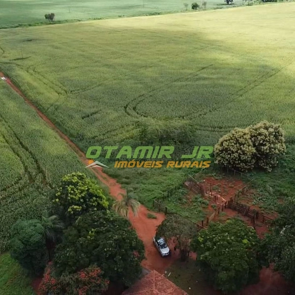 Fazenda para SOJA-MILHO | PADF-Brasília | 194,35 hectares: 5ª foto da galeria de imagens do imóvel