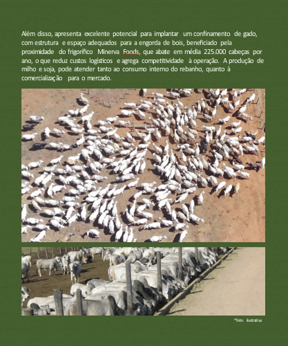 : 11ª foto da galeria de imagens do imóvel