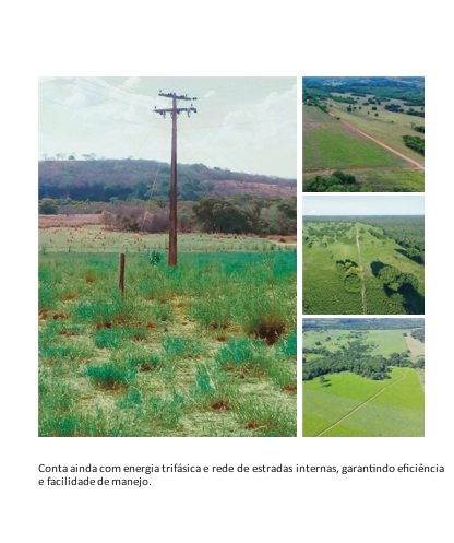 : 9ª foto da galeria de imagens do imóvel