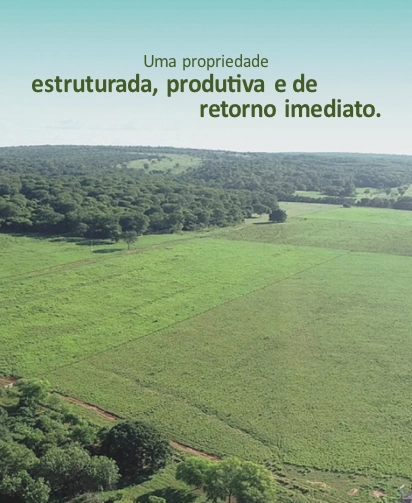 : 1ª foto da galeria de imagens do imóvel